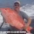 29 lb red snapper